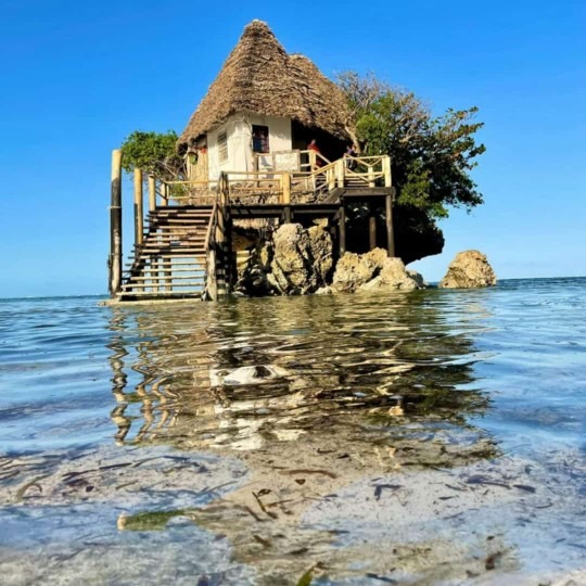 Tanzania wildlife and travel photography