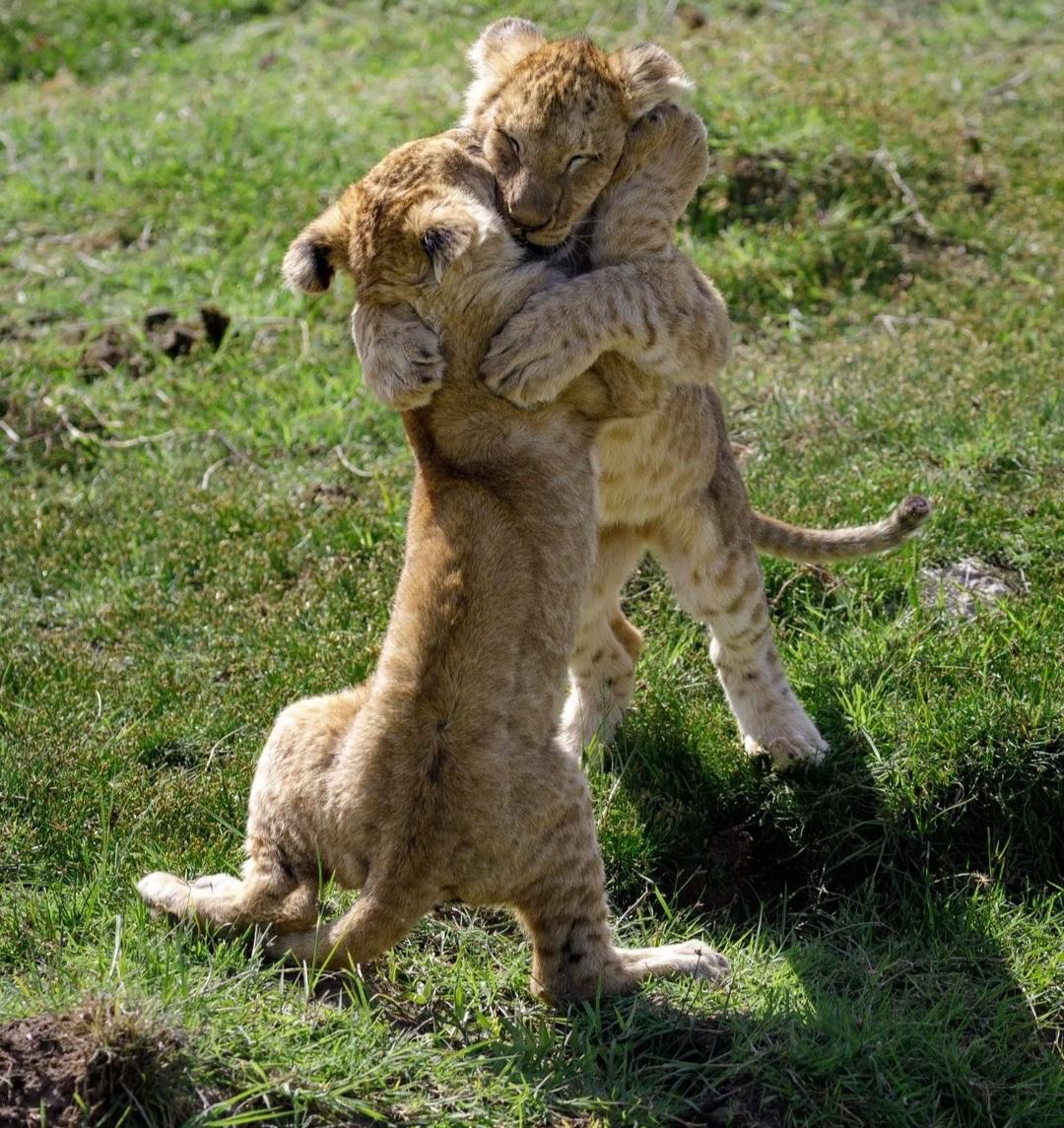 Tanzania wildlife and travel photography