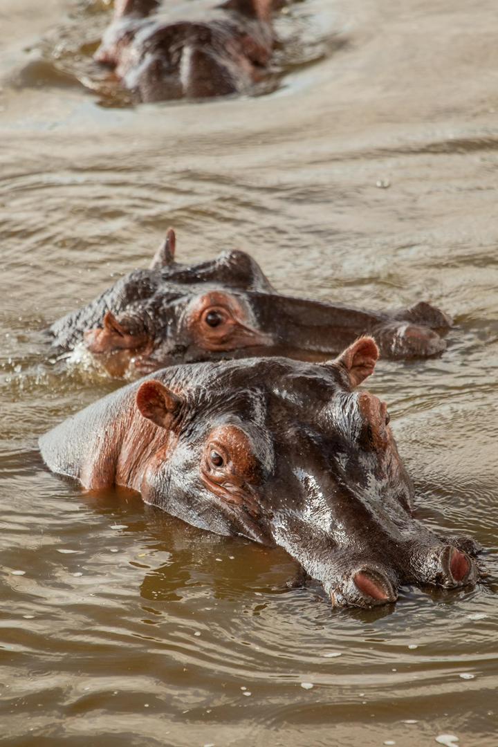 Tanzania wildlife and travel photography